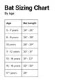 Easton SPEED USA Youth Baseball Bat, 28 inch (-10)