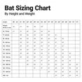 Easton SPEED USA Youth Baseball Bat, 28 inch (-10)