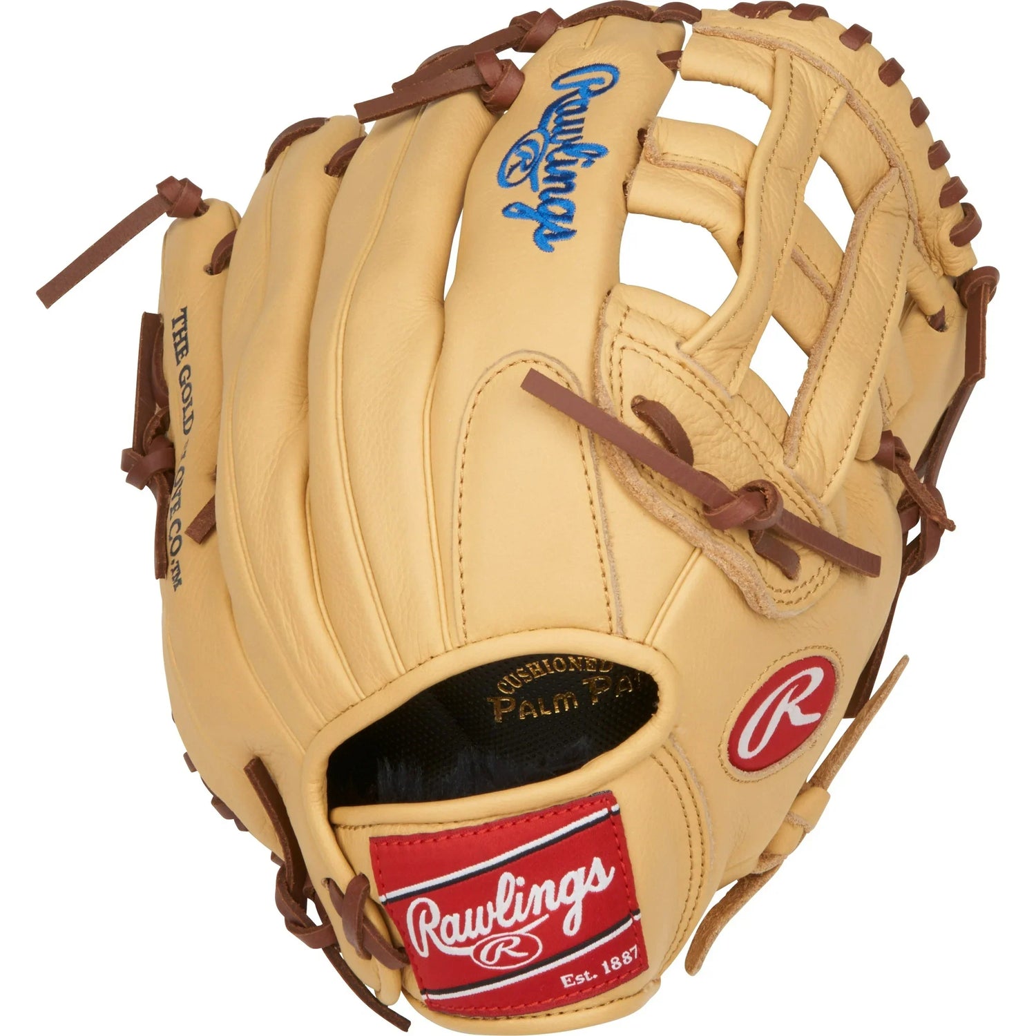 Baseball Glove